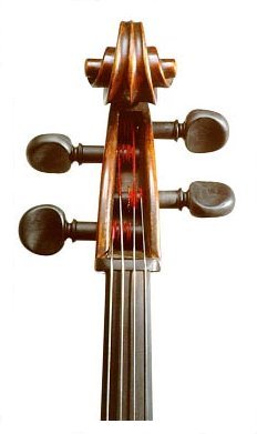 Cello with PEGHEDS installed